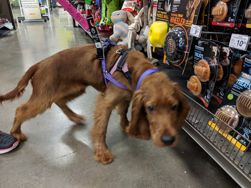 Pet Supply Store «Petco Animal Supplies», reviews and photos, 31419 Pacific Hwy S, Federal Way, WA 98003, USA