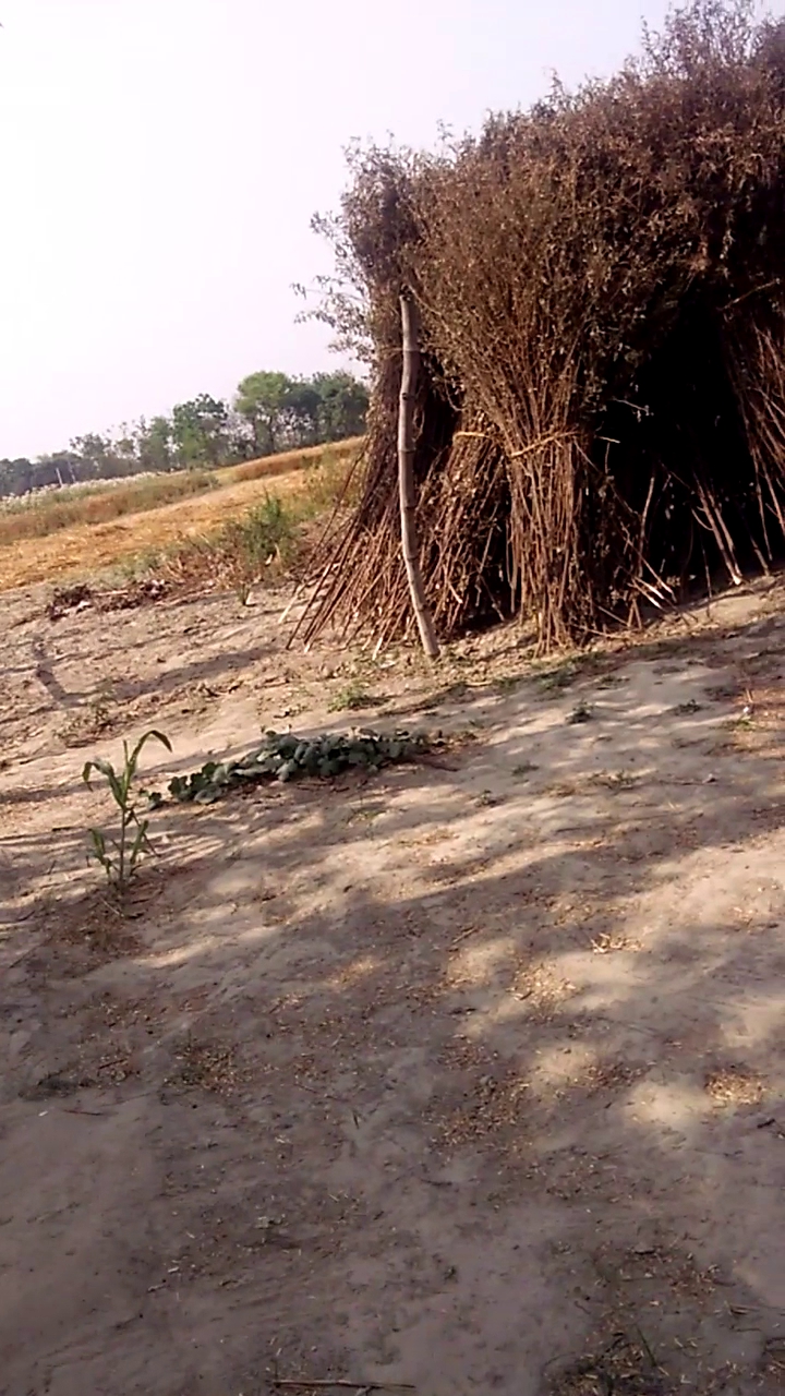 AMIT TENT HOUSE