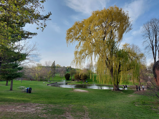 Centennial Park Disc Golf Course