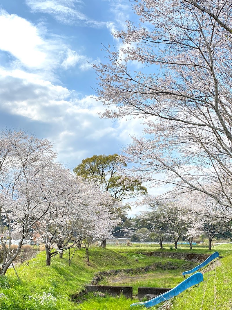 種子田川河川公園