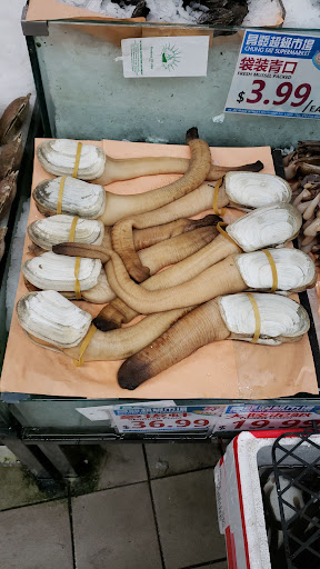 Asian Grocery Store «Chung Fat Supermarket», reviews and photos, 41-82 Main St, Flushing, NY 11355, USA