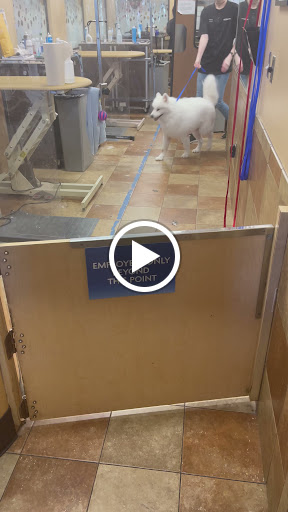 Pet Supply Store «PetSmart», reviews and photos, 573 N McKinley St, Corona, CA 92879, USA