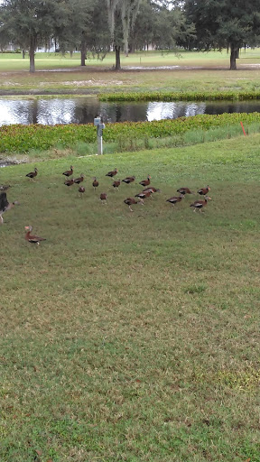 Country Club «Inverness Golf & Country Club», reviews and photos, 3150 S Country Club Dr, Inverness, FL 34450, USA