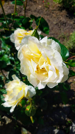 Nature Preserve «Blue Heron Nature Preserve», reviews and photos, 4055 Roswell Rd NE, Atlanta, GA 30342, USA