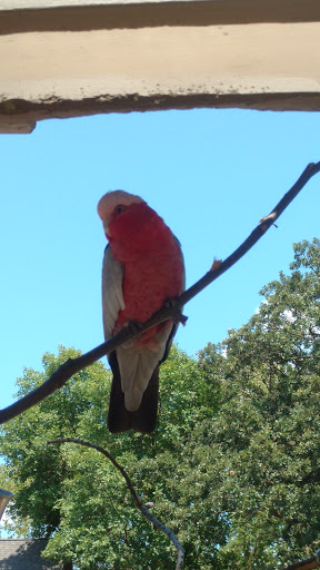 Zoo «Alaskan Adventure Henry Doorly Zoo», reviews and photos, 3701 S 10th St, Omaha, NE 68107, USA