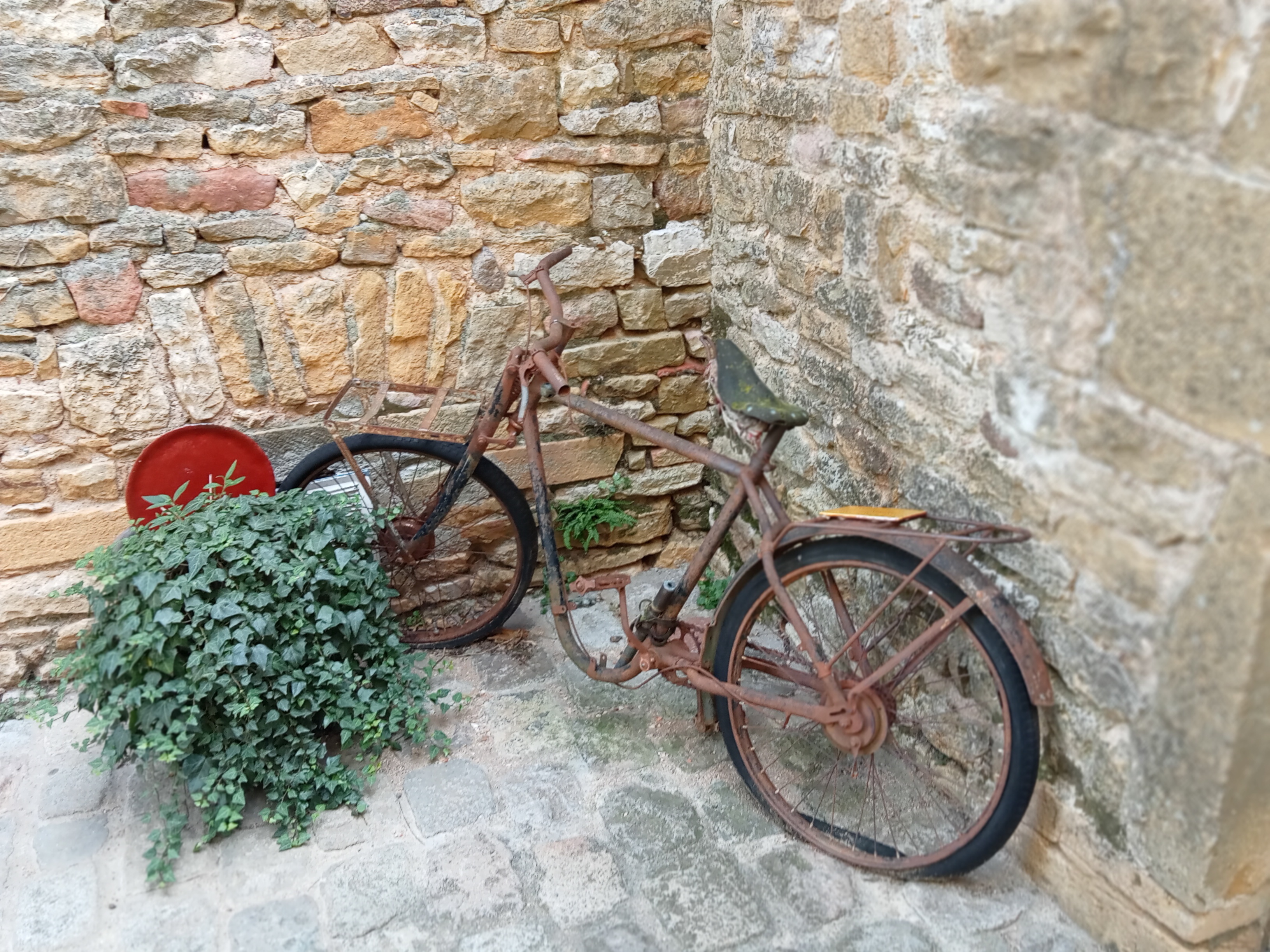 Photo n° 4 de l'avis de Haso69.a fait le 21/08/2022 à 18:51