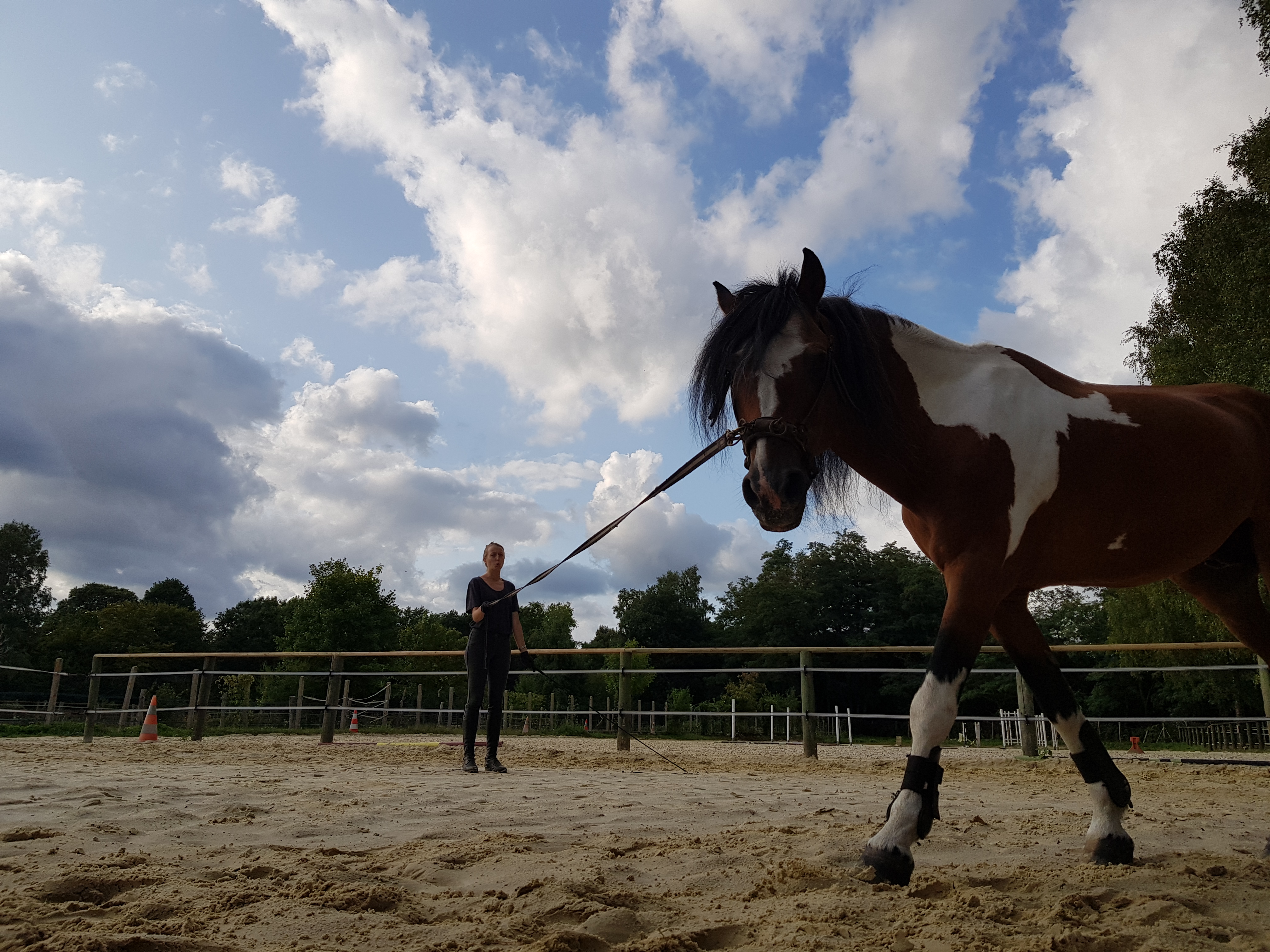 Photo n° 6 de l'avis de Aymeric.o fait le 19/08/2017 à 17:08