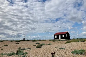 Rye Harbour Nature Reserve image