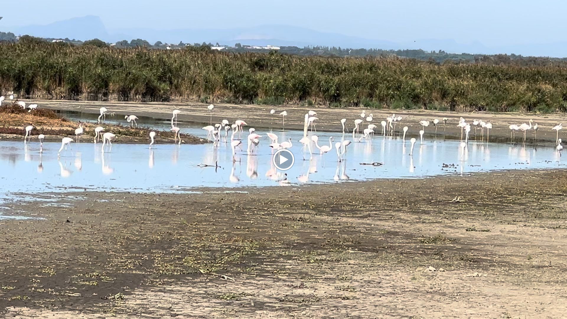 Photo n° 16 de l'avis de Jean-yves.o fait le 09/10/2023 à 14:29