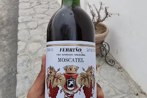 Ferriño wineries, SA de CV image