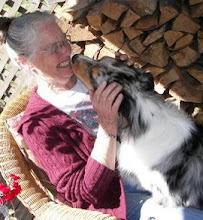 Primrose Lane Dog Boarding - Photo 4 - Car repair in , Bremerton