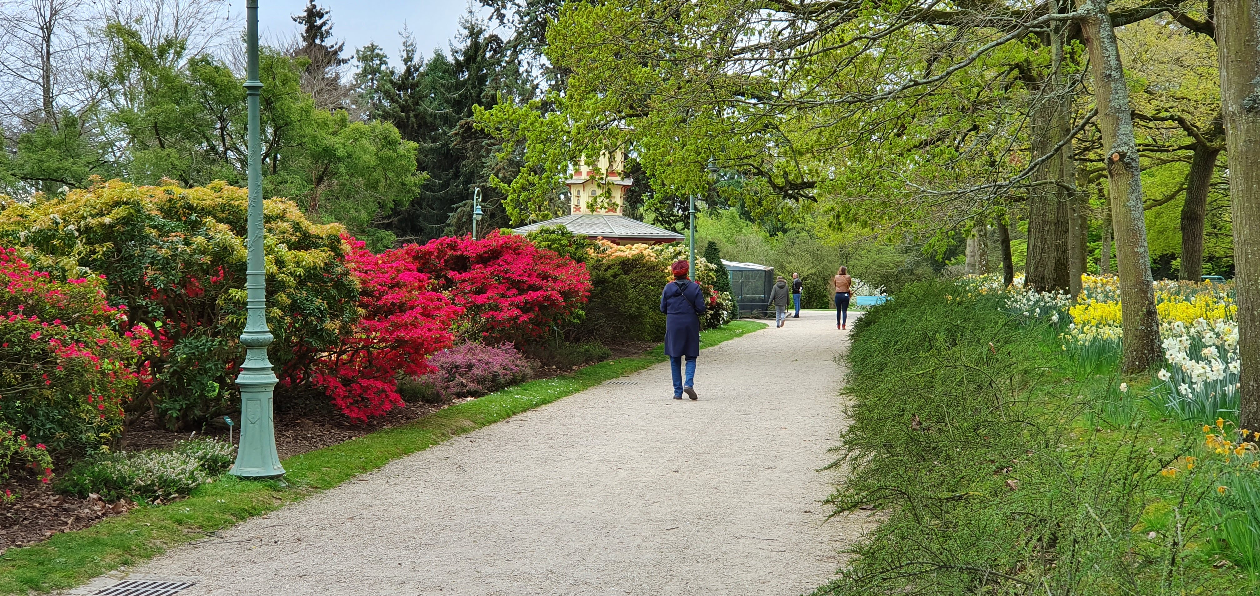 Photo n° 2 de l'avis de michel.e fait le 08/04/2022 à 17:56