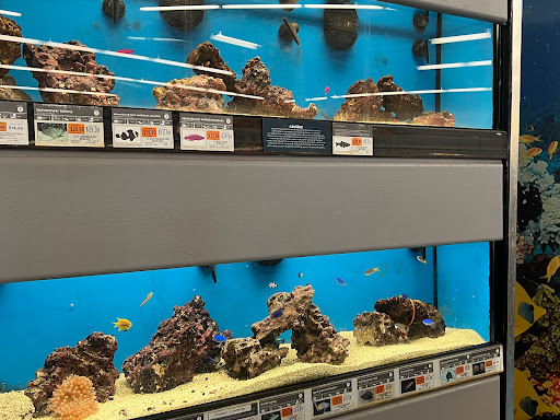 Pet Supply Store «Petco Animal Supplies», reviews and photos, 2230 Marlton Pike W #3, Cherry Hill, NJ 08002, USA