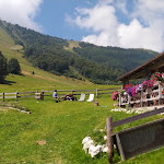 Photo n°5 de l'avis de SVIATLANA.A fait le 25/08/2020 à 05:41 sur le  Agritur Malga Dossioli à Avio