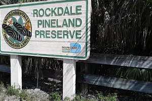 Rockdale Pineland Preserve image