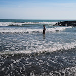 Photo n°8 de l'avis de Simone.a fait le 03/09/2020 à 22:43 sur le  RistoranteElisa à Fiumaretta di Ameglia