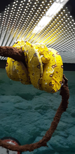 Pet Supply Store «Petco Animal Supplies», reviews and photos, 200 McMahan Blvd, Marion, OH 43302, USA