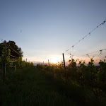 Photo n°16 de l'avis de Kirk.h fait le 18/07/2017 à 01:57 sur le  Villa Tiboldi à Canale