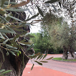 Photo n°6 de l'avis de dylayla.o fait le 21/09/2023 à 07:22 sur le  Four Points by Sheraton Siena à Siena