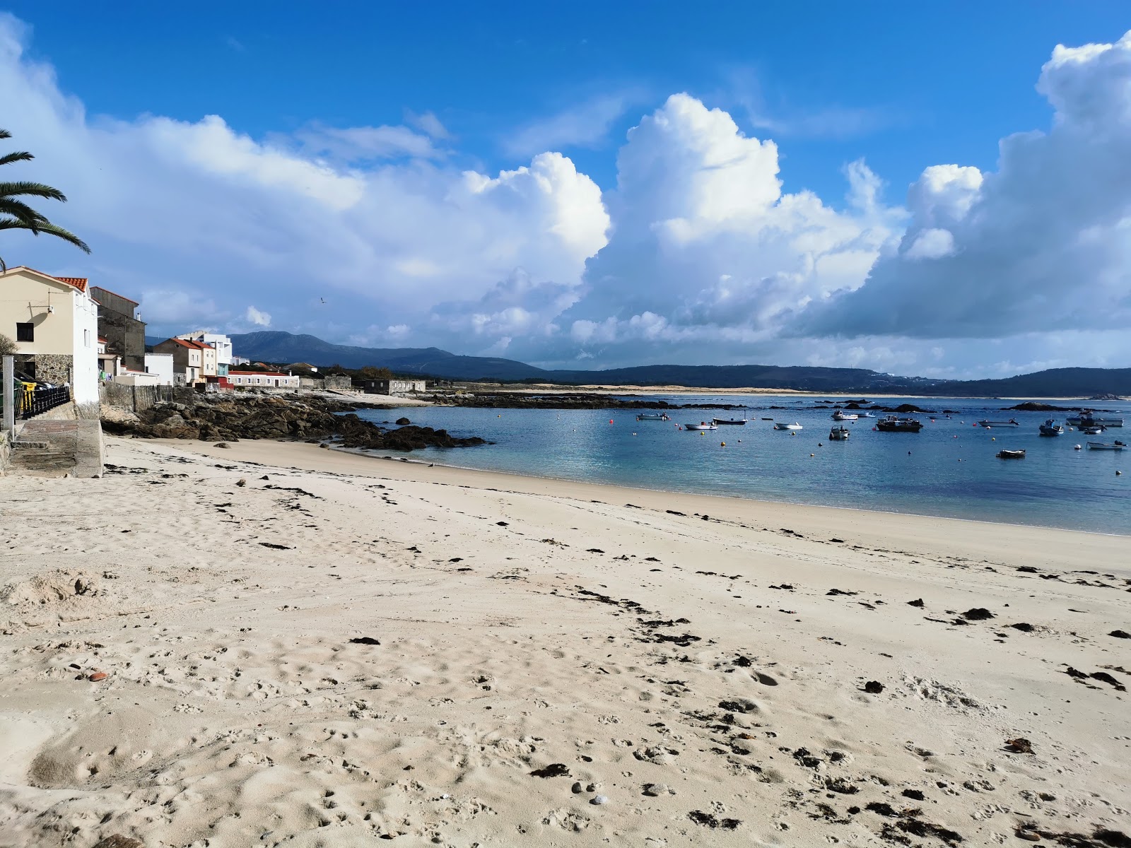 Prado beach的照片 带有宽敞的海湾