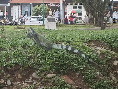 Parque de la iguana