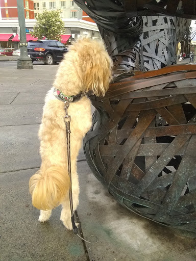 Stadium «Providence Park», reviews and photos, 1844 SW Morrison St, Portland, OR 97205, USA
