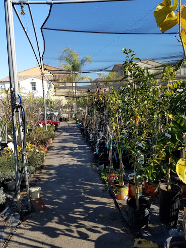 Plant Nursery «San Gabriel Nursery & Florist», reviews and photos, 632 S San Gabriel Blvd, San Gabriel, CA 91776, USA