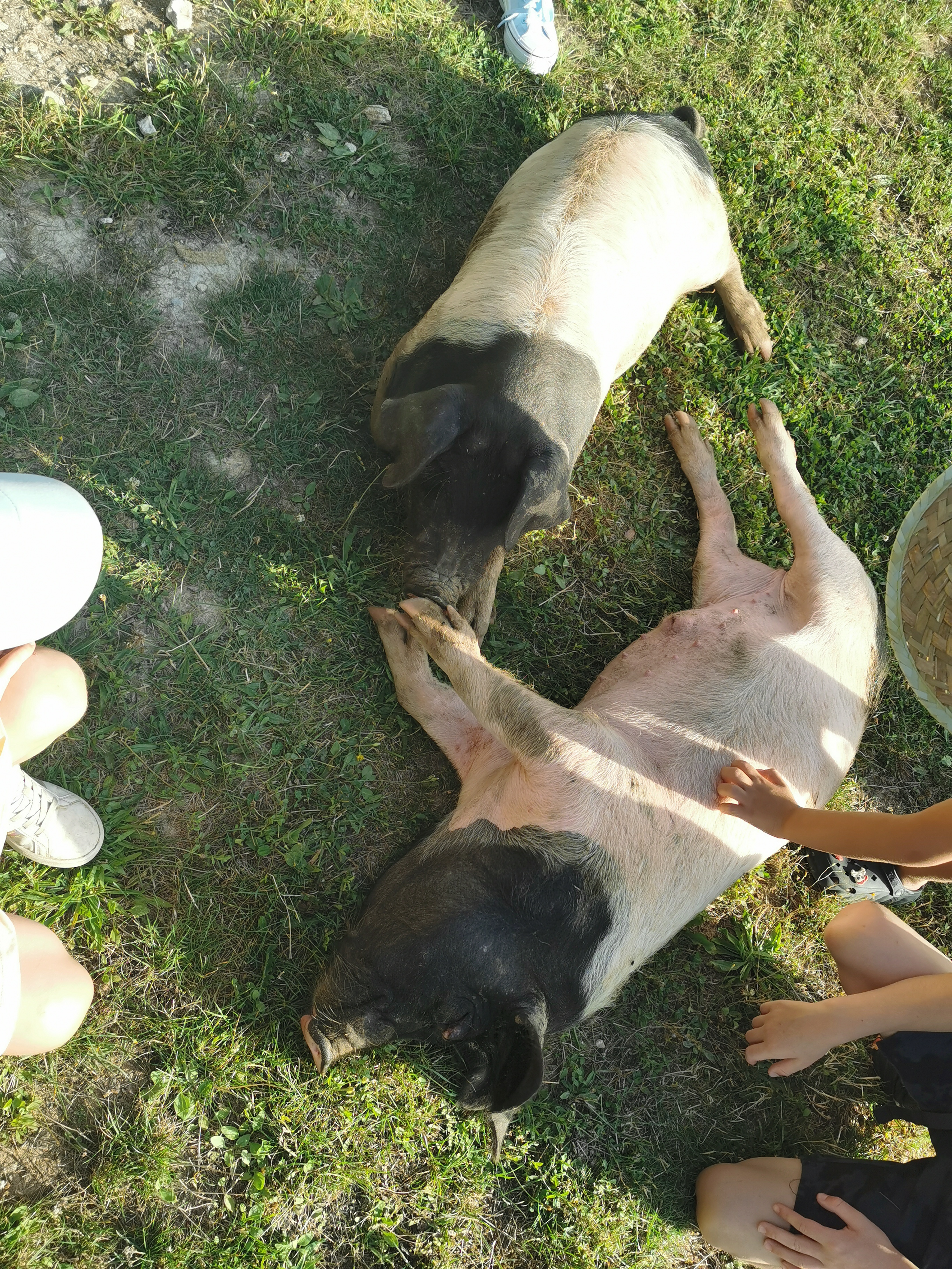 Photo n° 3 de l'avis de Sarah.a fait le 11/08/2023 à 07:34