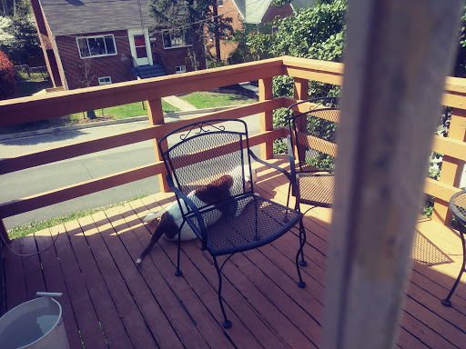 Park «Fort Circle Park», reviews and photos, Minnesota Ave SE, Washington, DC 20019, USA