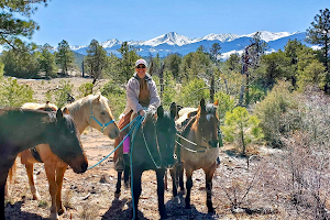 Georgia Ranch - Trail Rides LLC image