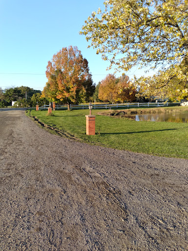 Winery «Sparkling Ponds Winery», reviews and photos, 10661 W Lake Rd, Ripley, NY 14775, USA