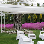 Photo n°1 de l'avis de Gennaro.u fait le 22/05/2019 à 07:09 sur le  Tenute del Gheppio à Dugenta