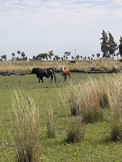 Paraje San Martín