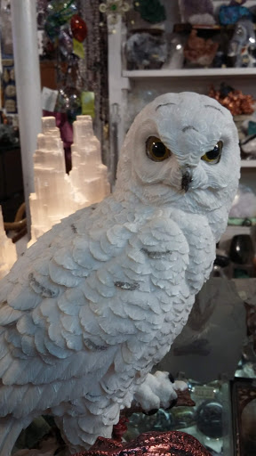 Gift Shop «Planet Earth Gallery», reviews and photos, 2385 PA-611, Scotrun, PA 18355, USA