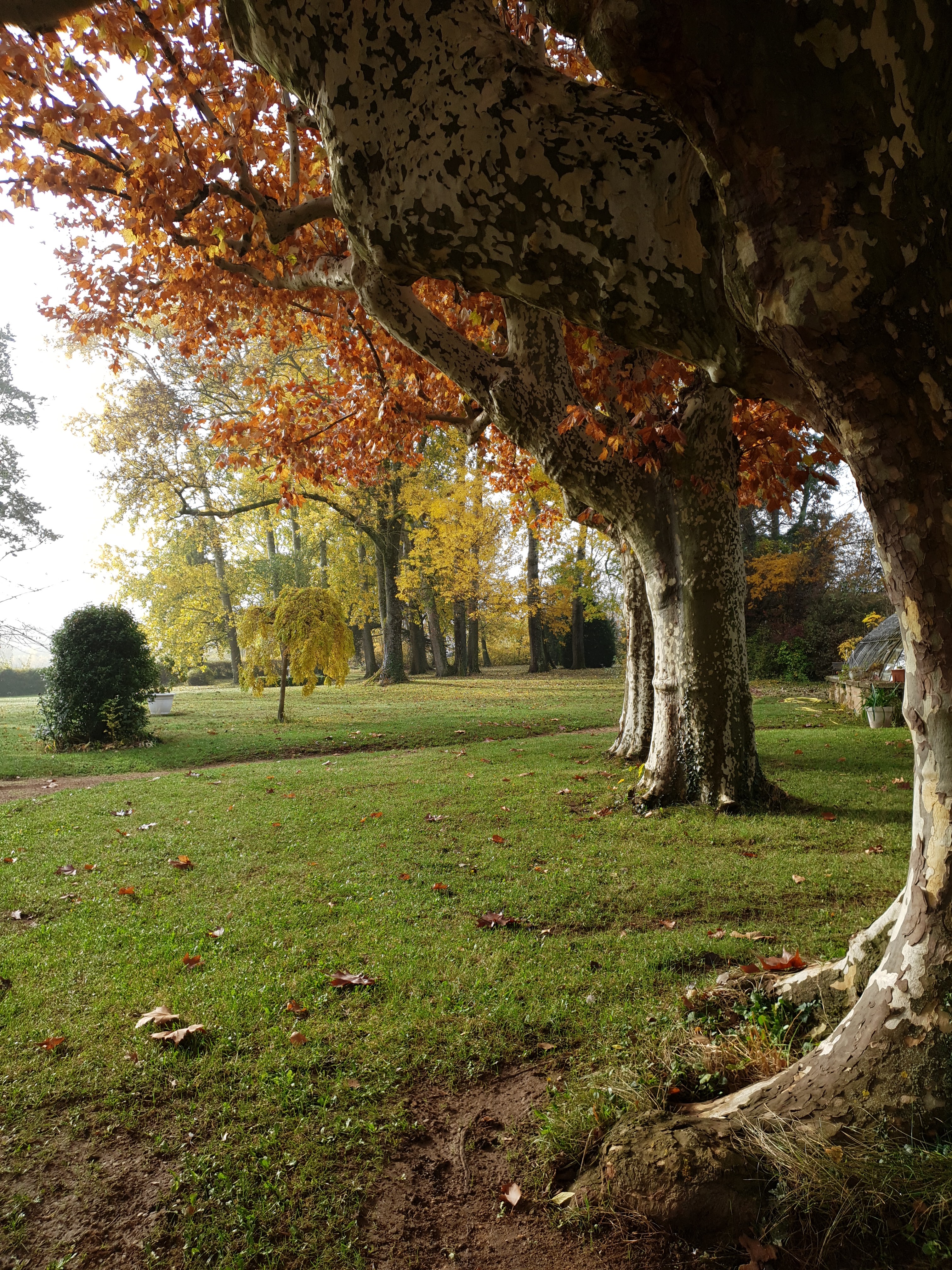 Photo n° 2 de l'avis de Khan. fait le 14/11/2018 à 14:42