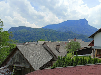 Apartments Alp-House Bohinjska Bela