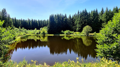 Étang de l'Hère à Saint-Urcize