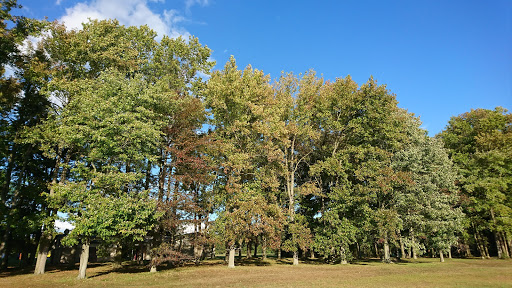 Recreation Center «Go Ape Zip Line & Treetop Adventure - Lums Pond State Park», reviews and photos, 1042 Howell School Rd, Bear, DE 19701, USA