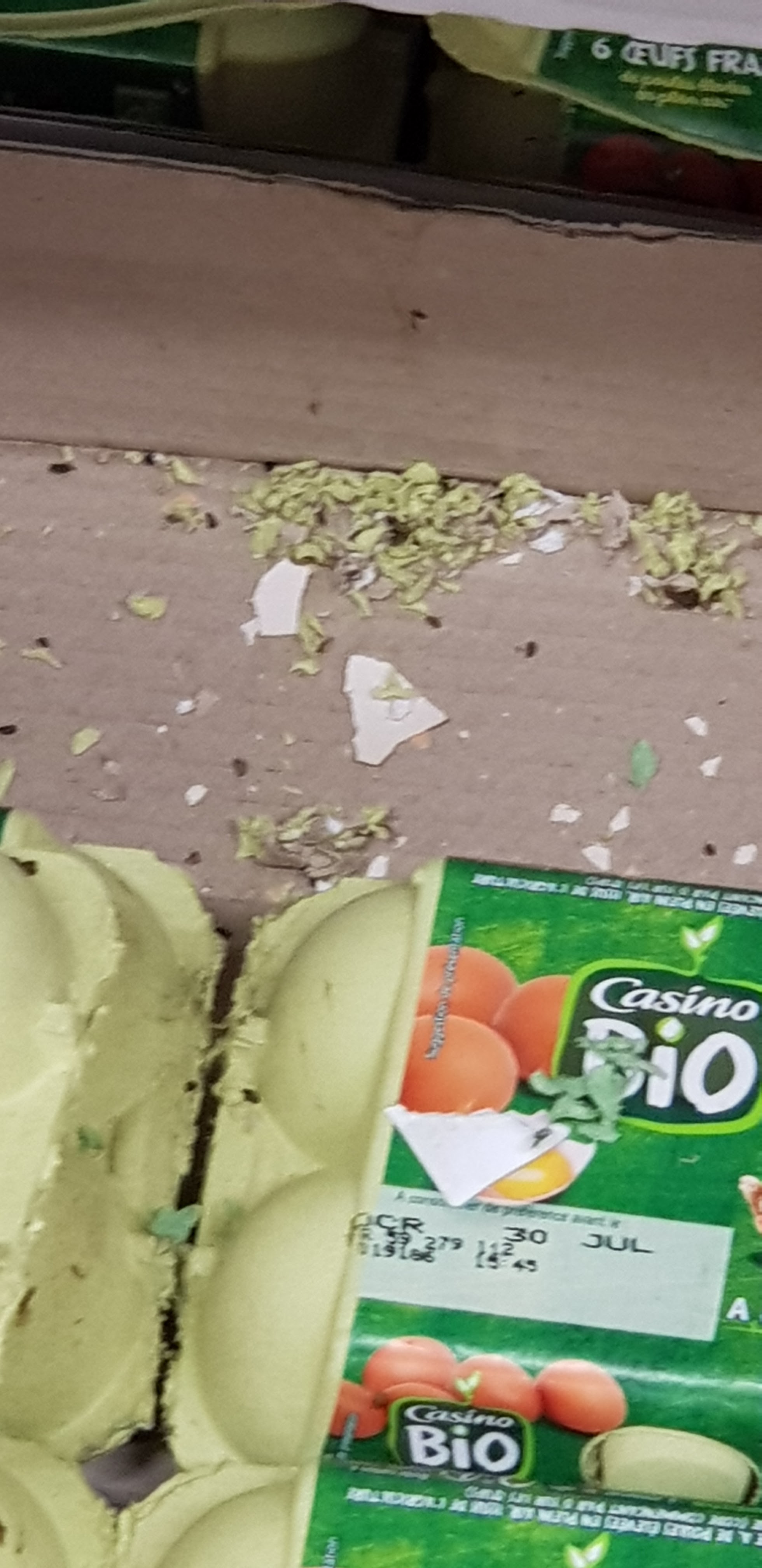 Photo n° 1 de l'avis de sam.u fait le 24/07/2019 à 10:03