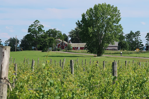 Winery «Snow Farm Vineyard & Winery», reviews and photos, 190 W Shore Rd, South Hero, VT 05486, USA