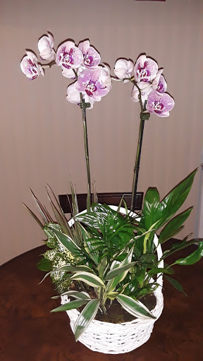 Florist «Edgewood Flowers», reviews and photos, 4927 S Orange Ave, Orlando, FL 32806, USA