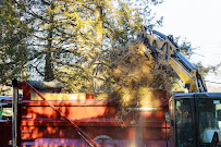 Folsom Tree Services - Photo 4 - Car repair in , Sacramento