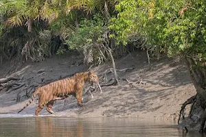 Sundarban Core Tourism image