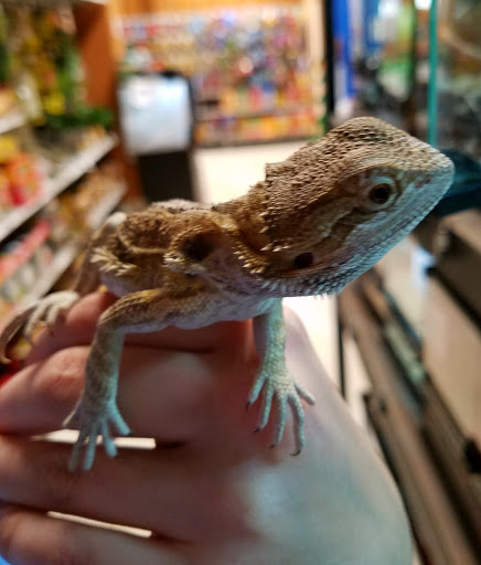 Tropical Fish Store «Pet Friendly Inc», reviews and photos, 845 Manitou Rd, Hilton, NY 14468, USA
