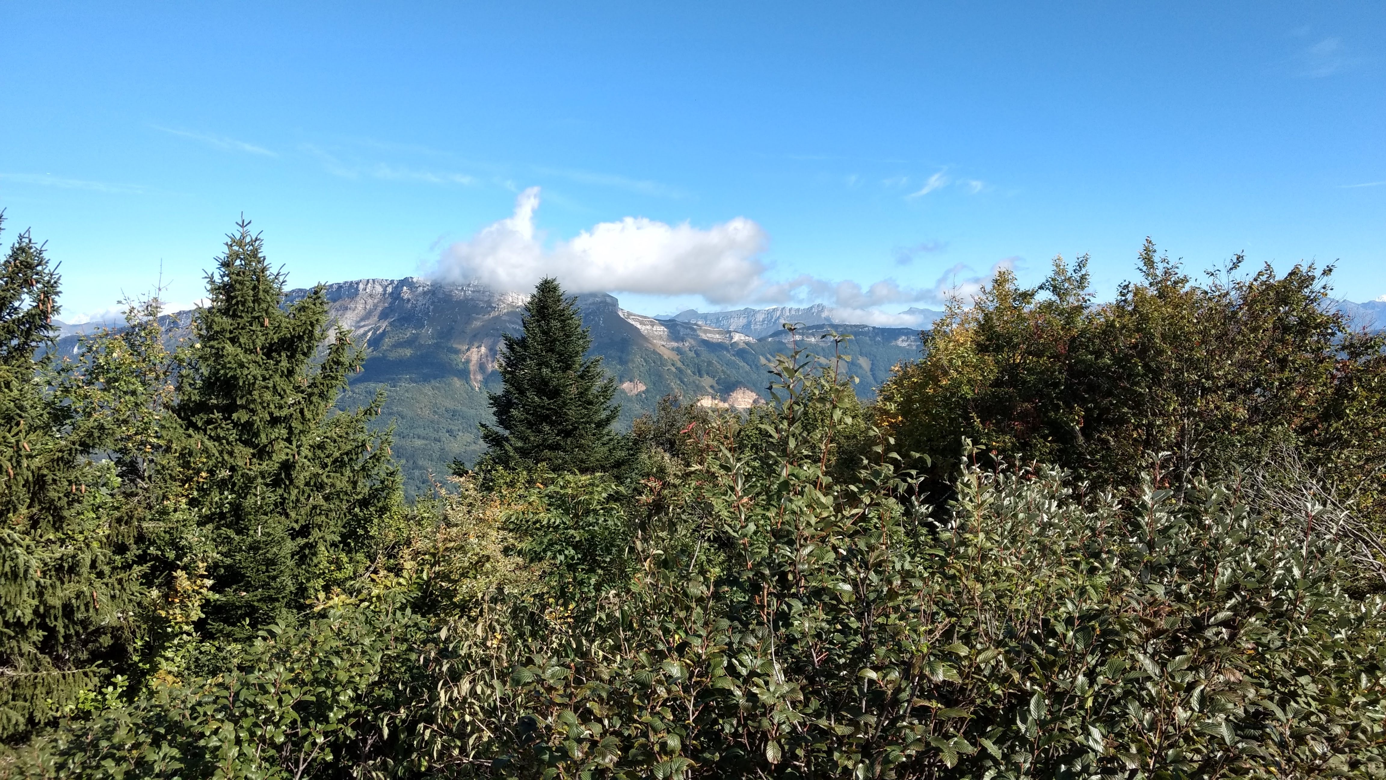 Photo n° 5 de l'avis de Christian.r fait le 18/11/2019 à 23:35