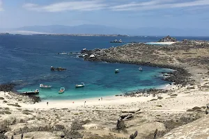 Humboldt Penguin National Reserve image