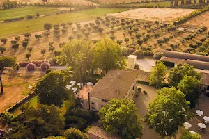 Antica Fattoria La Parrina image