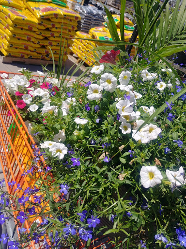 Home Improvement Store «The Home Depot», reviews and photos, 4914 Grande Blvd, Medina, OH 44256, USA