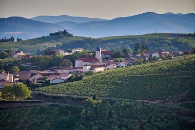 Domaine PASSOT Rémy & Fils - Exploitation familiale - Dégustation et Mâchon Beaujolais à Chiroubles