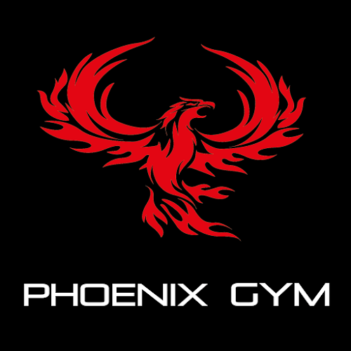 Comments and reviews of Phoenix Gym